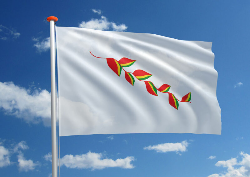 Native Bolivianen vlag