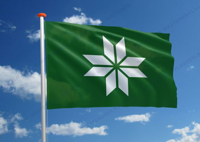 Võros vlag