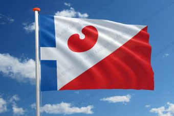 Dorpsvlag Allingawier