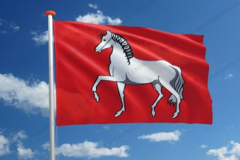 Dorpsvlag Assendelft