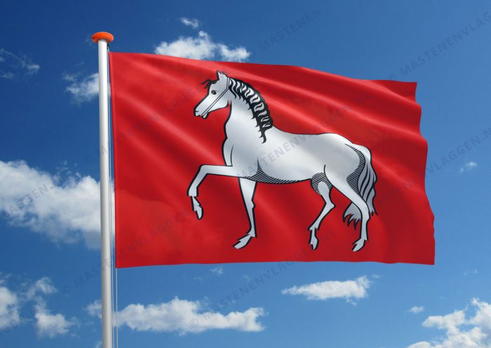 Dorpsvlag Assendelft