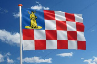 Dorpsvlag Den Dungen