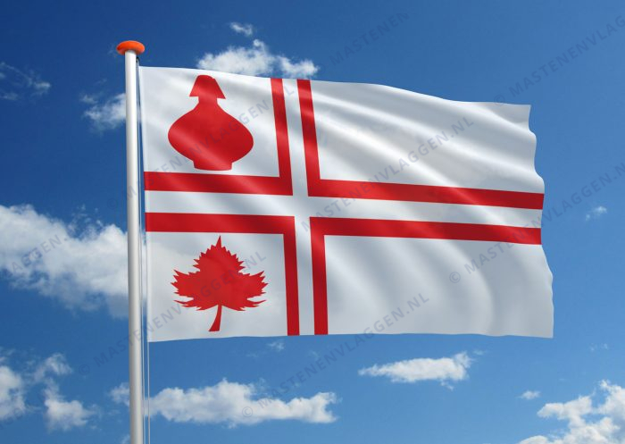 Dorpsvlag Diever