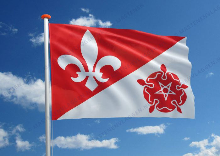 Dorpsvlag Dongjum