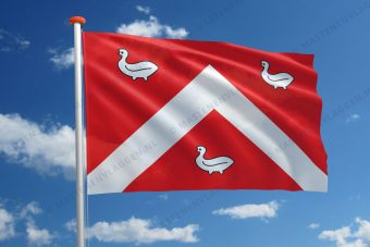 Dorpsvlag Ens