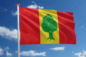 Dorpsvlag Giekerk