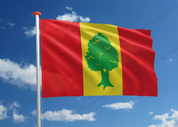 Dorpsvlag Giekerk