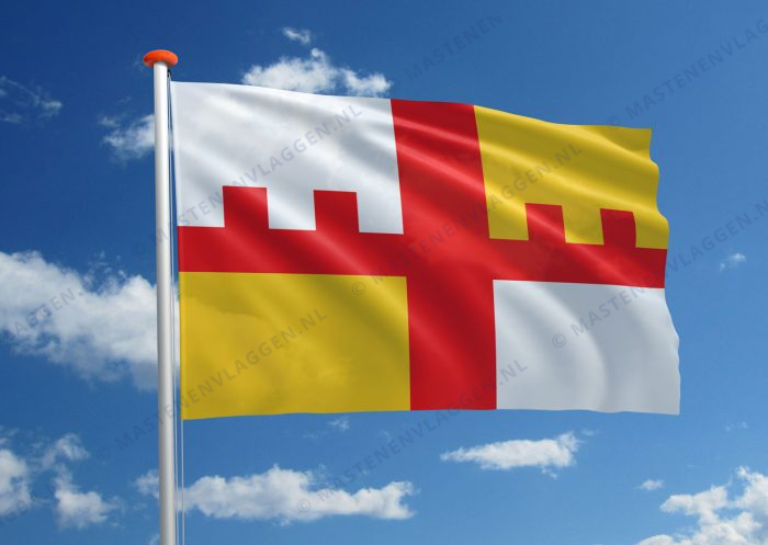 Dorpsvlag Grootegast