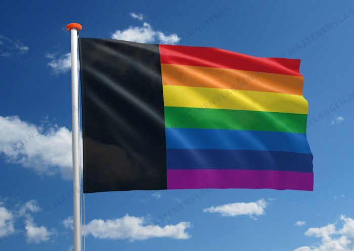 Dorpsvlag Hallum