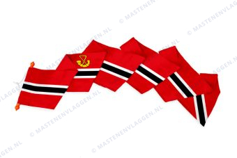 Dorpswimpel Hardegarijp