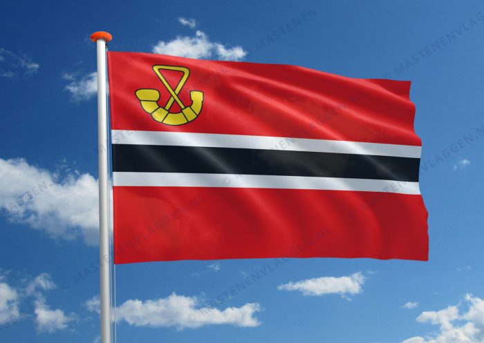 Dorpsvlag Hardegarijp