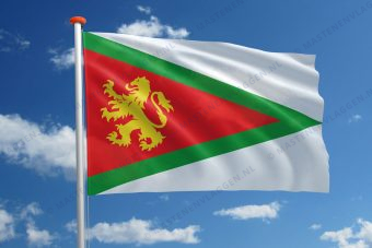 Dorpsvlag Harkema