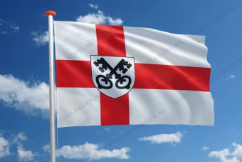 Dorpsvlag Havelte