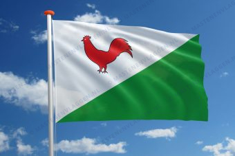 Dorpsvlag Heinkenszand