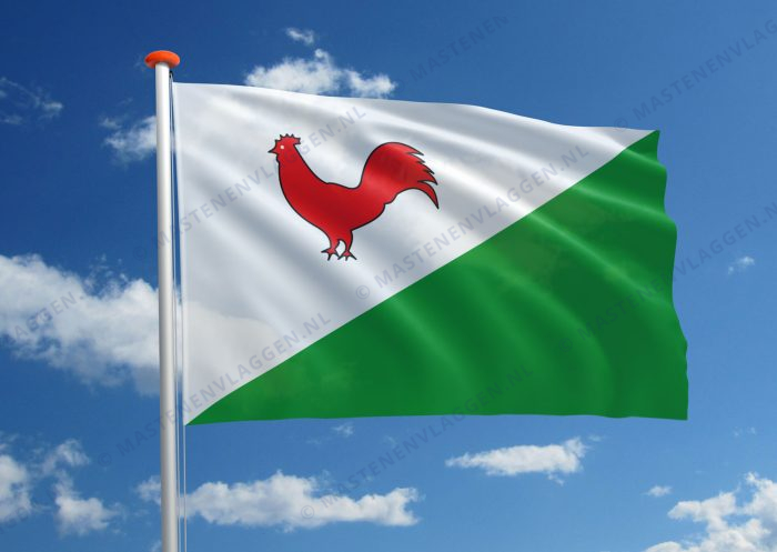 Dorpsvlag Heinkenszand