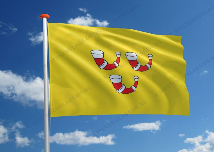 Dorpsvlag Horn