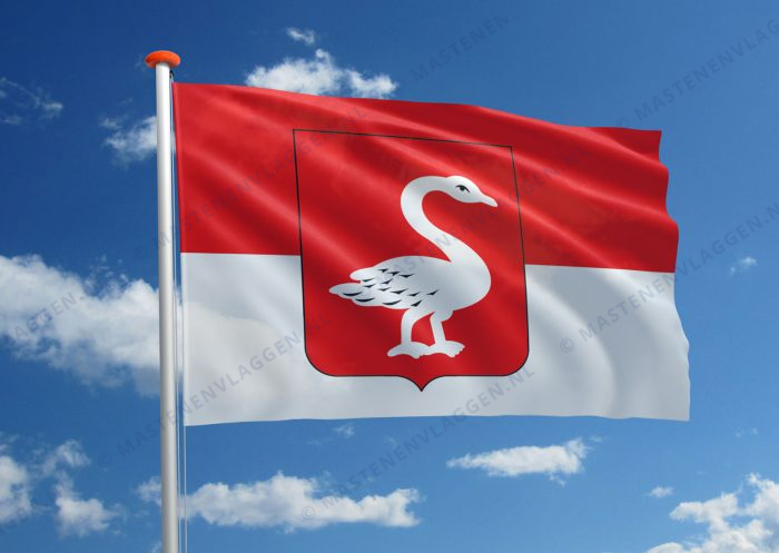 Stadsvlag Huissen