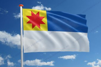Dorpsvlag Berkel en Rodenrijs