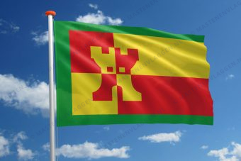 Dorpsvlag Rinsumageest