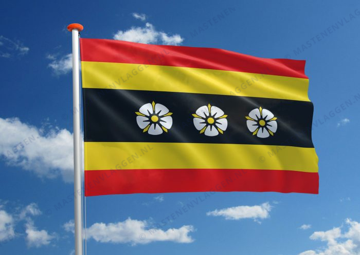 Dorpsvlag Ruinen