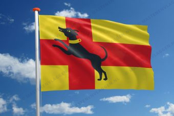 Dorpsvlag Ruurlo