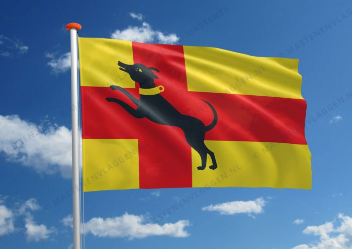 Dorpsvlag Ruurlo