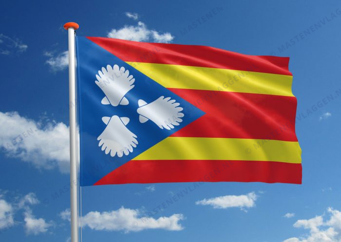 Dorpsvlag Sint Jacobiparochie