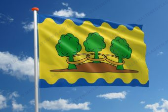 Dorpsvlag Ter Idzard
