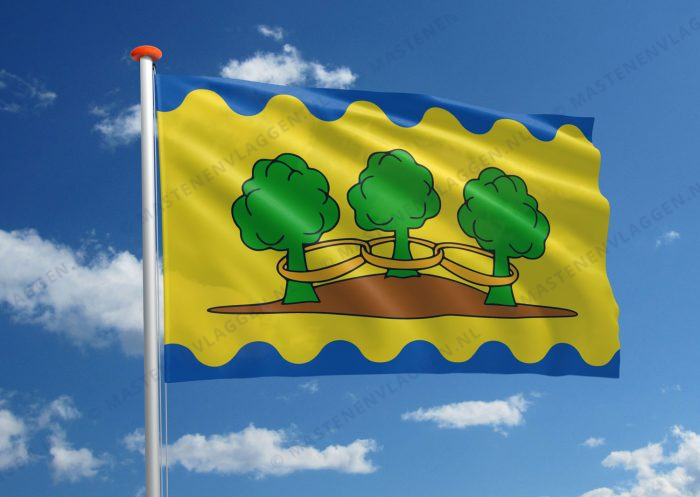 Dorpsvlag Ter Idzard