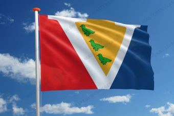 Dorpsvlag Vogelenzang
