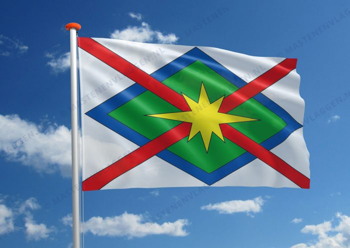 Dorpsvlag Wehe-Den Hoorn