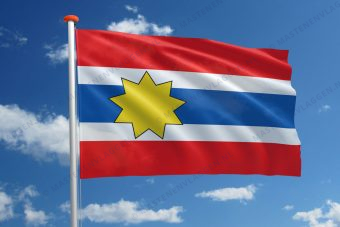 Dorpsvlag Wijns