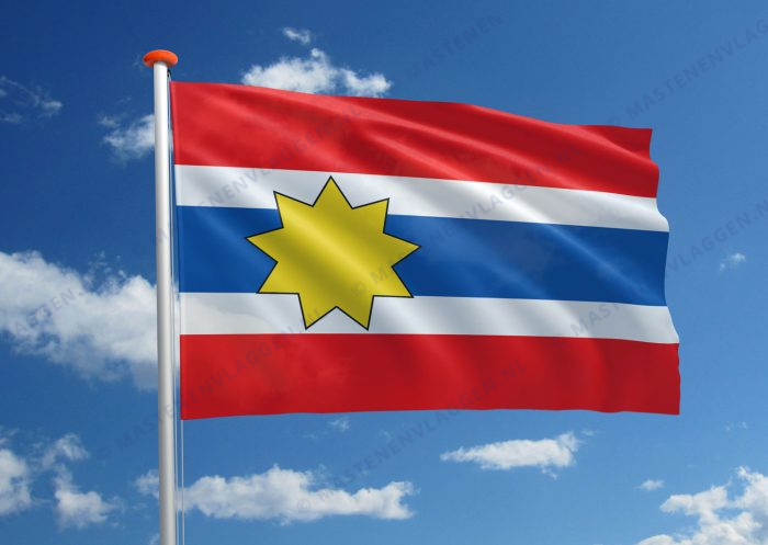 Dorpsvlag Wijns