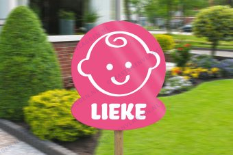 Geboorte bord meisje