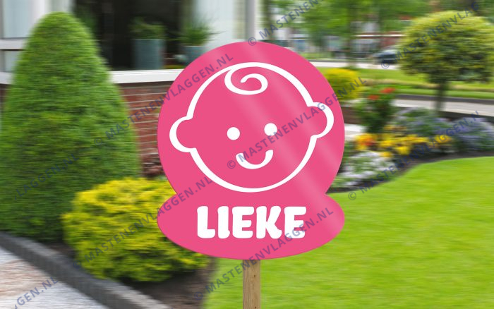 Geboorte bord meisje