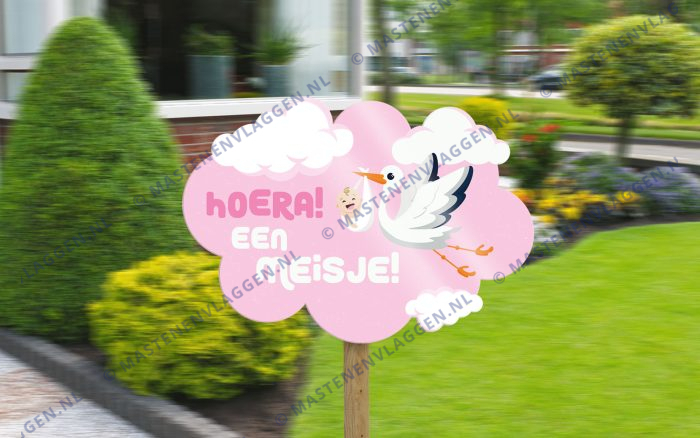 Geboorte bord meisje