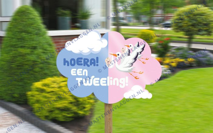 Themabord: Hoera! Een tweeling!
