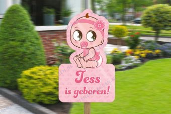 Geboorte bord meisje
