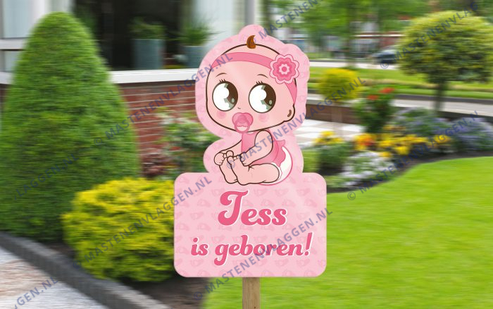 Geboorte bord meisje