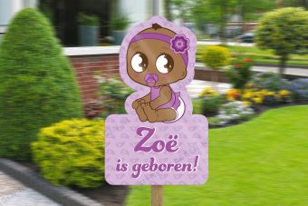 Geboorte bord meisje