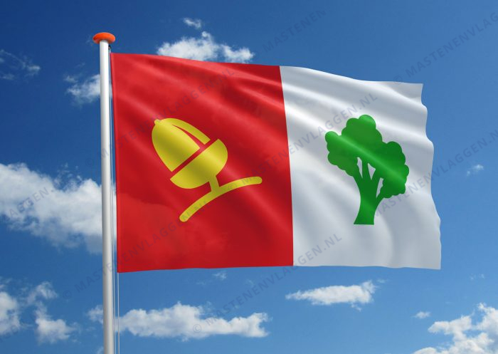 Dorpsvlag Cornjum