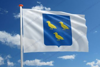 Dorpsvlag Waspik