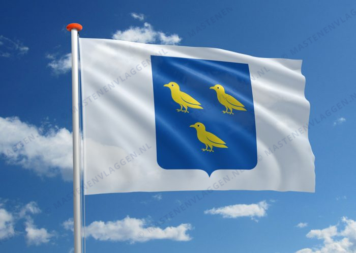 Dorpsvlag Waspik