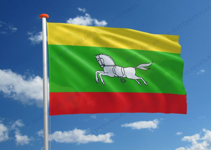 Dorpsvlag Zuidlaren