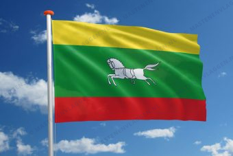 Dorpsvlag Zuidlaren (variant)