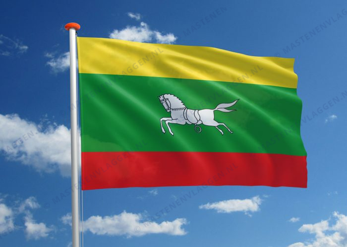 Dorpsvlag Zuidlaren (variant)