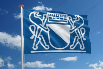 Vlag Zurich