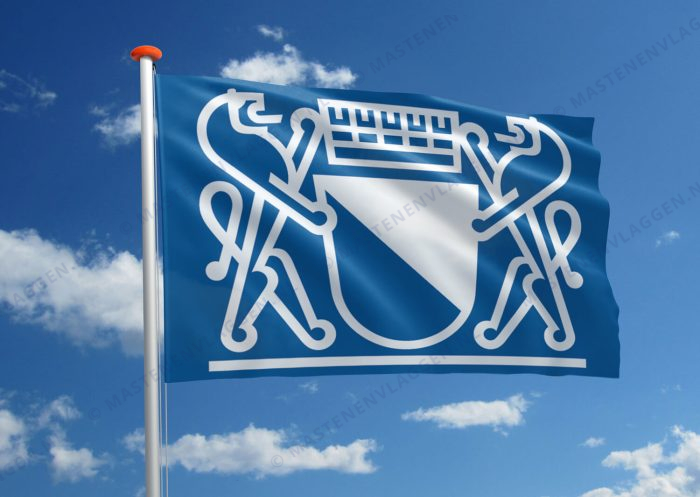 Vlag Zurich