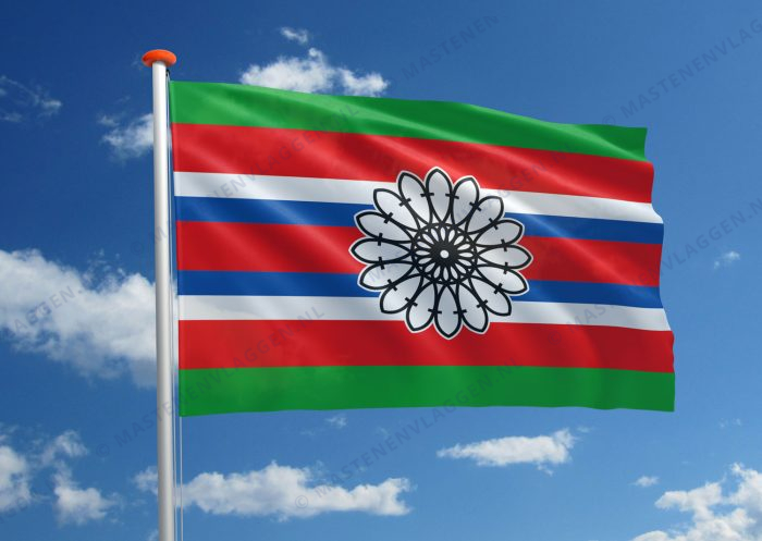 Dorpsvlag Den Horn