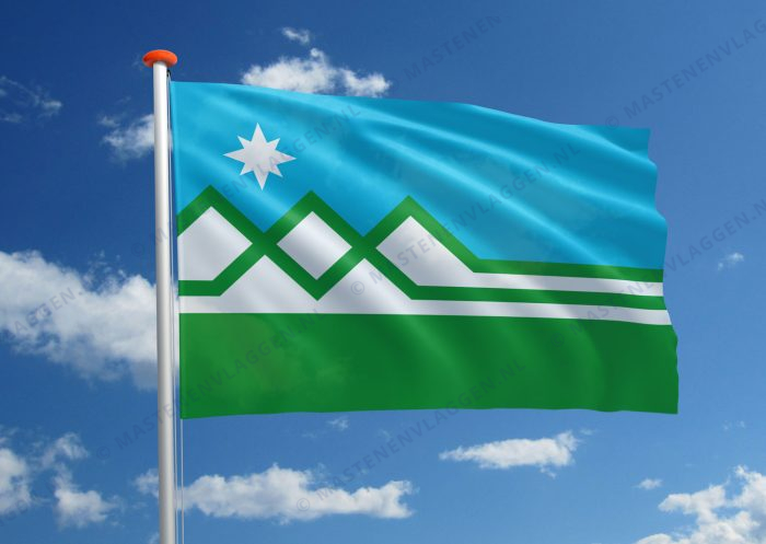 Vlag Washington